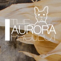 The Aurora Project eu logo, The Aurora Project eu contact details