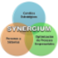 Synergium Argentina logo, Synergium Argentina contact details