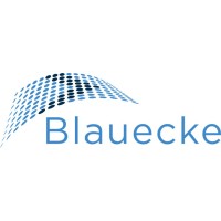 Blauecke Consultoria Empresarial Ltda logo, Blauecke Consultoria Empresarial Ltda contact details