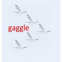 gaggle.net.au logo, gaggle.net.au contact details