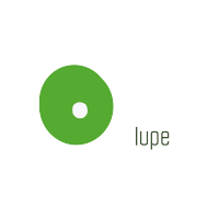 lupe Consultora logo, lupe Consultora contact details