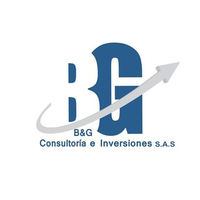 B&G Consultoria e Inversiones S.A.S. logo, B&G Consultoria e Inversiones S.A.S. contact details