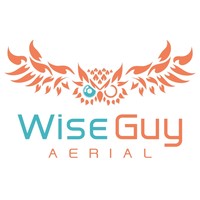 Wise Guy Aerial logo, Wise Guy Aerial contact details