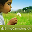 Billigcamping.dk logo, Billigcamping.dk contact details