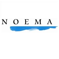 Noema Srl Unipersonale logo, Noema Srl Unipersonale contact details