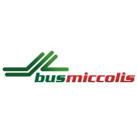 MICCOLIS S.P.A. | BUSMICCOLIS logo, MICCOLIS S.P.A. | BUSMICCOLIS contact details