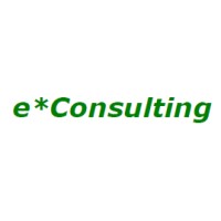 e*Consulting EIRL logo, e*Consulting EIRL contact details