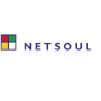 Netsoul srl logo, Netsoul srl contact details