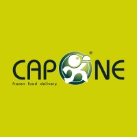 CAPONE PIETRO S.R.L. logo, CAPONE PIETRO S.R.L. contact details