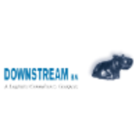 Downstream B.V. logo, Downstream B.V. contact details