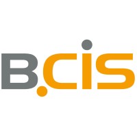 BCIS IT-Systeme GmbH & Co. KG logo, BCIS IT-Systeme GmbH & Co. KG contact details