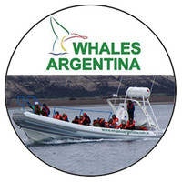 Whales Argentina logo, Whales Argentina contact details