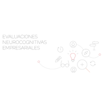 eNe Consultora logo, eNe Consultora contact details