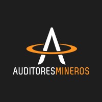 Auditores Mineros logo, Auditores Mineros contact details