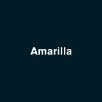 Amarilla logo, Amarilla contact details