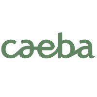 Caeba - conseil, assistance et ingénierie logo, Caeba - conseil, assistance et ingénierie contact details