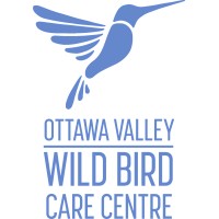 Ottawa Valley Wild Bird Care Centre logo, Ottawa Valley Wild Bird Care Centre contact details