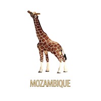 Mozambique Co. logo, Mozambique Co. contact details