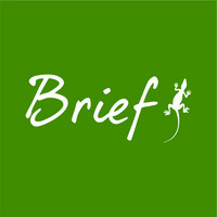 Brief Australia logo, Brief Australia contact details