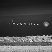 Moonrise logo, Moonrise contact details