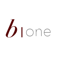 b.one Consulting e.V. logo, b.one Consulting e.V. contact details