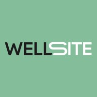 Wellsite S.r.l. logo, Wellsite S.r.l. contact details