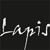 LAPIS Project logo, LAPIS Project contact details