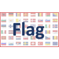 FLAG Translations & Business Services logo, FLAG Translations & Business Services contact details