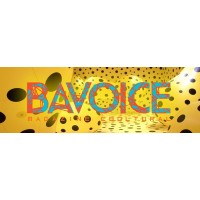 BA Voice logo, BA Voice contact details