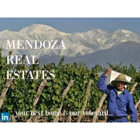 MENDOZA REAL ESTATES logo, MENDOZA REAL ESTATES contact details