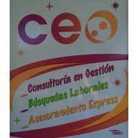 Ceo Consultora logo, Ceo Consultora contact details