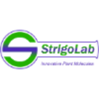 StrigoLab logo, StrigoLab contact details