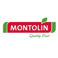 Agrícola Montolín S.A logo, Agrícola Montolín S.A contact details