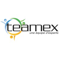 TEAMEX France logo, TEAMEX France contact details