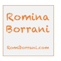 Borrani Consultores Independientes logo, Borrani Consultores Independientes contact details