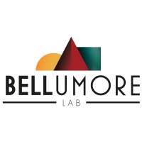 Bellumore srl logo, Bellumore srl contact details