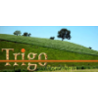 Trigo Consultora logo, Trigo Consultora contact details