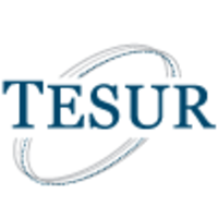 Tesur SA - Organización TECHINT logo, Tesur SA - Organización TECHINT contact details