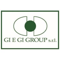 GI E GI GROUP logo, GI E GI GROUP contact details