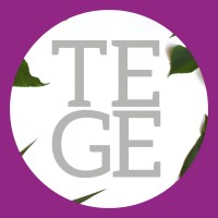 TEGE Argentina (Técnica Estrategia y Gestión Empresarial) logo, TEGE Argentina (Técnica Estrategia y Gestión Empresarial) contact details