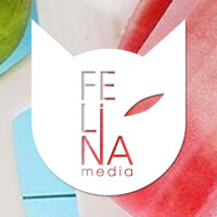 FelinaMedia logo, FelinaMedia contact details