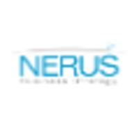 Nerus Business Strategy logo, Nerus Business Strategy contact details