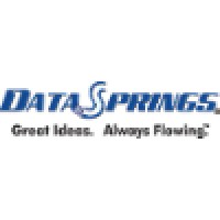 Data Springs logo, Data Springs contact details