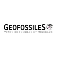 GEOFOSSILES logo, GEOFOSSILES contact details