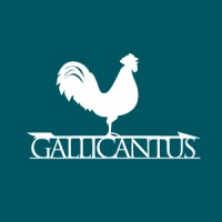 Gallicantus Italia logo, Gallicantus Italia contact details