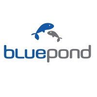 Bluepond logo, Bluepond contact details