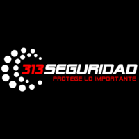 313Seguridad logo, 313Seguridad contact details