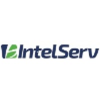 Intelserv Inteligencia em Servicos logo, Intelserv Inteligencia em Servicos contact details