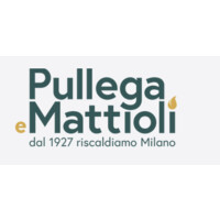 Pullega e Mattioli S.p.A. logo, Pullega e Mattioli S.p.A. contact details