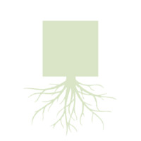 Square Root Consulting logo, Square Root Consulting contact details